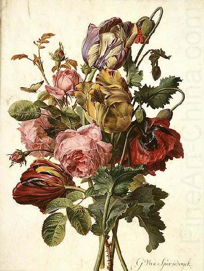 Gerard van Spaendonck Bouquet of Tulips, Roses and an Opium Poppy, with a Pale Clouded Yellow Butterfly, a Red Longhorn Beetle and a Sevenspotted Ladybug china oil painting image